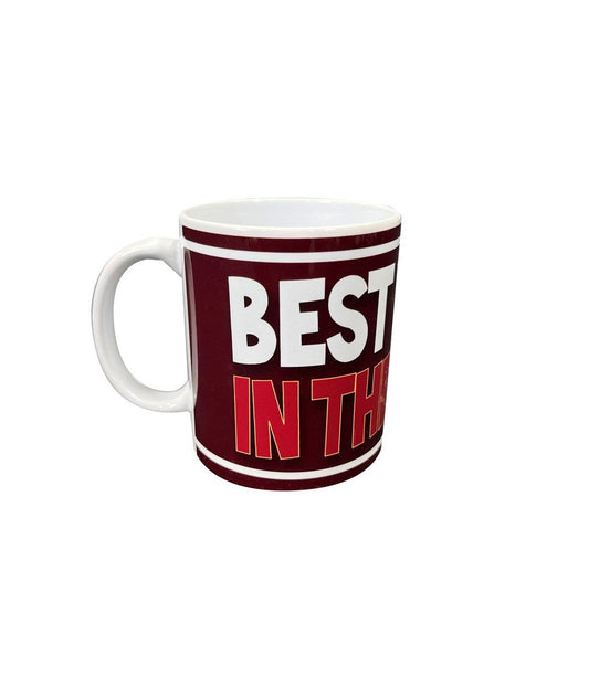  Best Dad In The World Mug