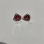  2023 Full Coloured Crest Earrings